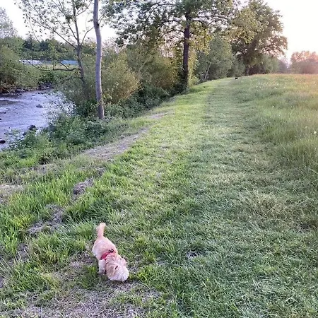 Casa de Férias Uitzicht Op Het Zwembad *